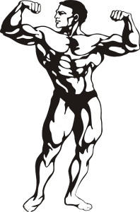 bodybuilder-146791_640